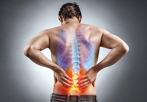 Animated spine shown on man's back